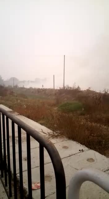 Crop burning in Punjab province highest cause of pollution