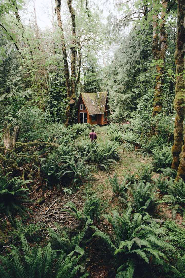 Psy nature..❤️❤️