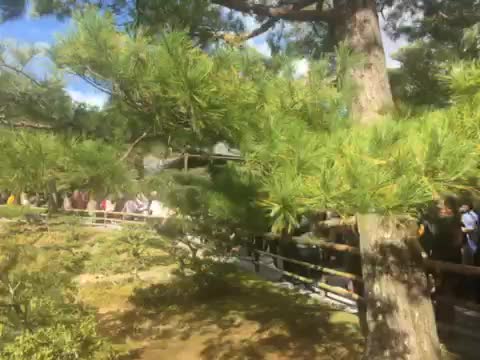 Kakakuji  Golden Temple at Kyoto Japan