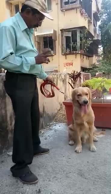 लो भाई अब तो हद ही हो गई इस गणित के प्रोफेसर ने कुत्ते को भी नहीं बख्शा ।।