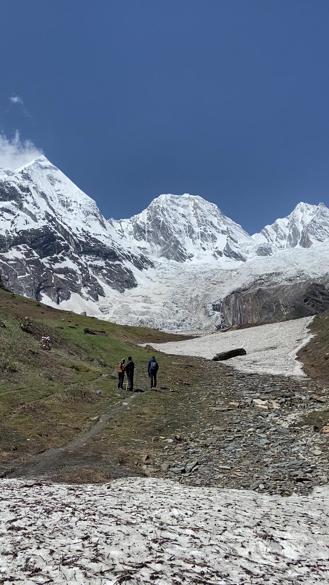Avalanche in Snowy Mountains