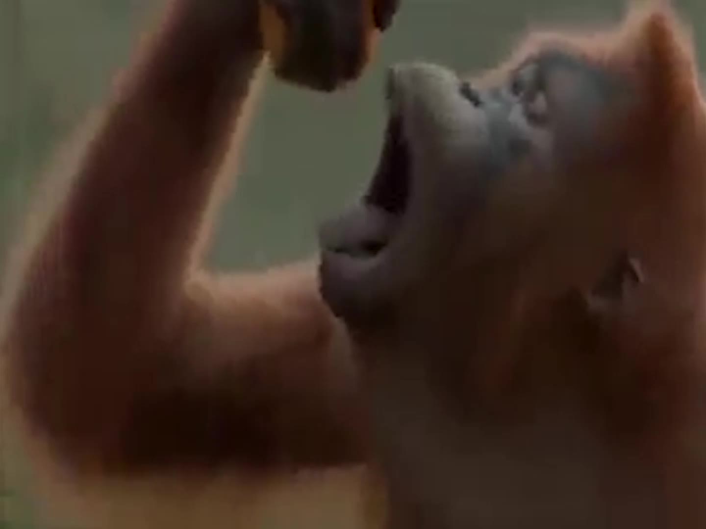 Dance like never before......