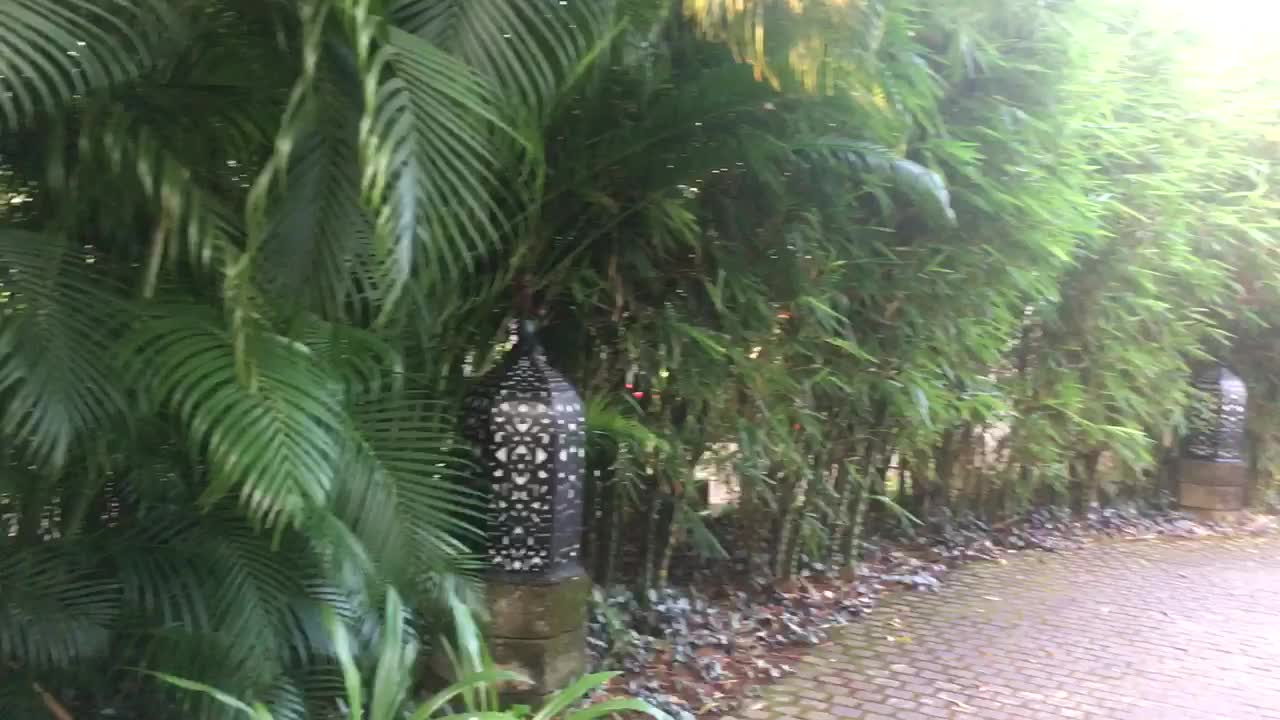 Taj resort at Bekal .