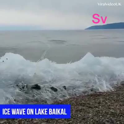 Sunshine is delicious, rain is refreshing, wind braces us up, snow is exhilarating; there is really no such thing as bad weather, only different kinds of good weather.