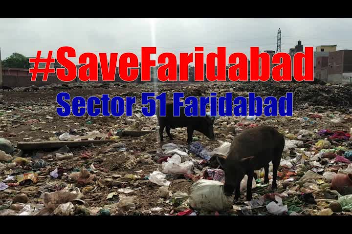 Sector 51 Faridabad has become a garbage destination.