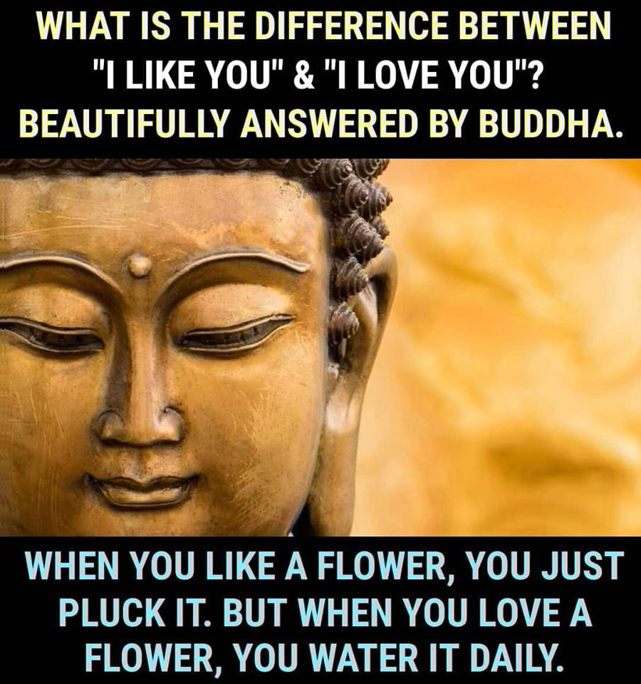 What is the difference between " I like you" and "I love you"