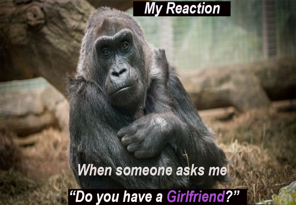 My Reaction