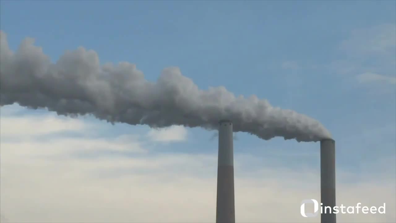 #seematrikha Bjp seema trikha badkal 87 #polution #faridabad #city #rosegarden #people